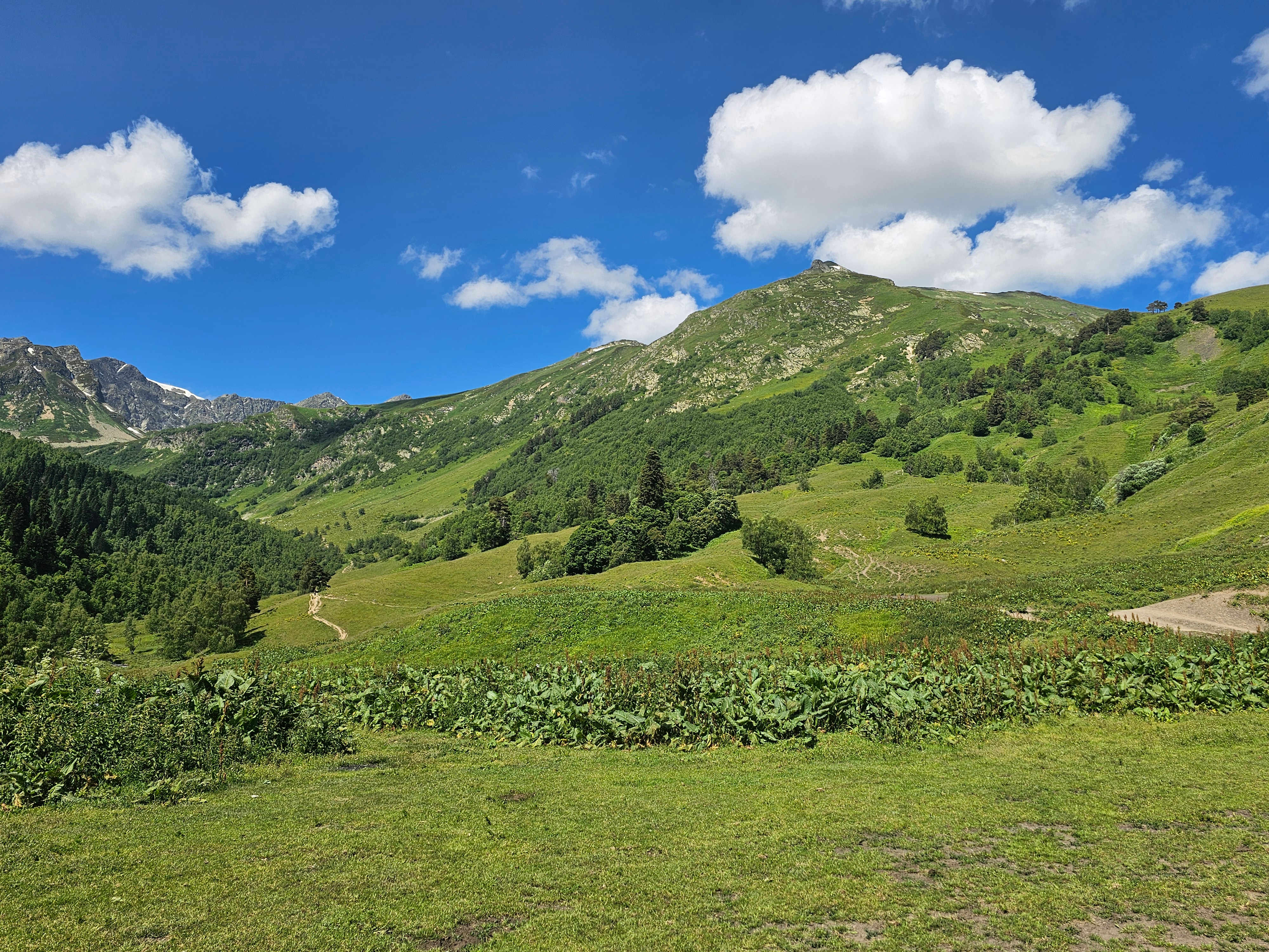 Ducca Lakes